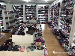 專供商超百貨業(yè)態(tài)杭州童裝與拖鞋標(biāo)桿生產(chǎn)企業(yè)訪廠教學(xué)活動(dòng)圓滿成功，苗木花卉產(chǎn)業(yè)協(xié)同發(fā)展